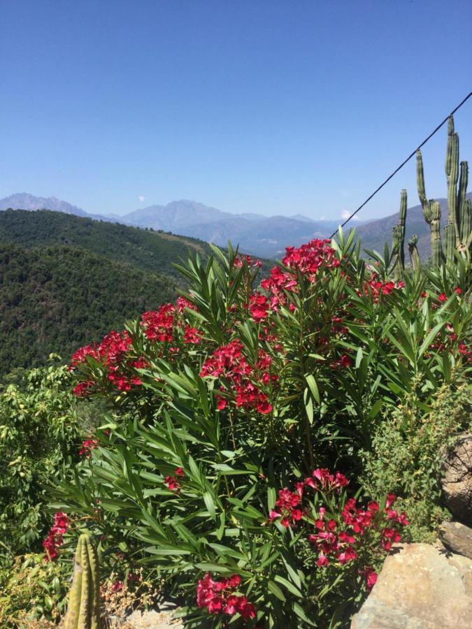 Casa Lili Διαμέρισμα Castello-di-Rostino Εξωτερικό φωτογραφία