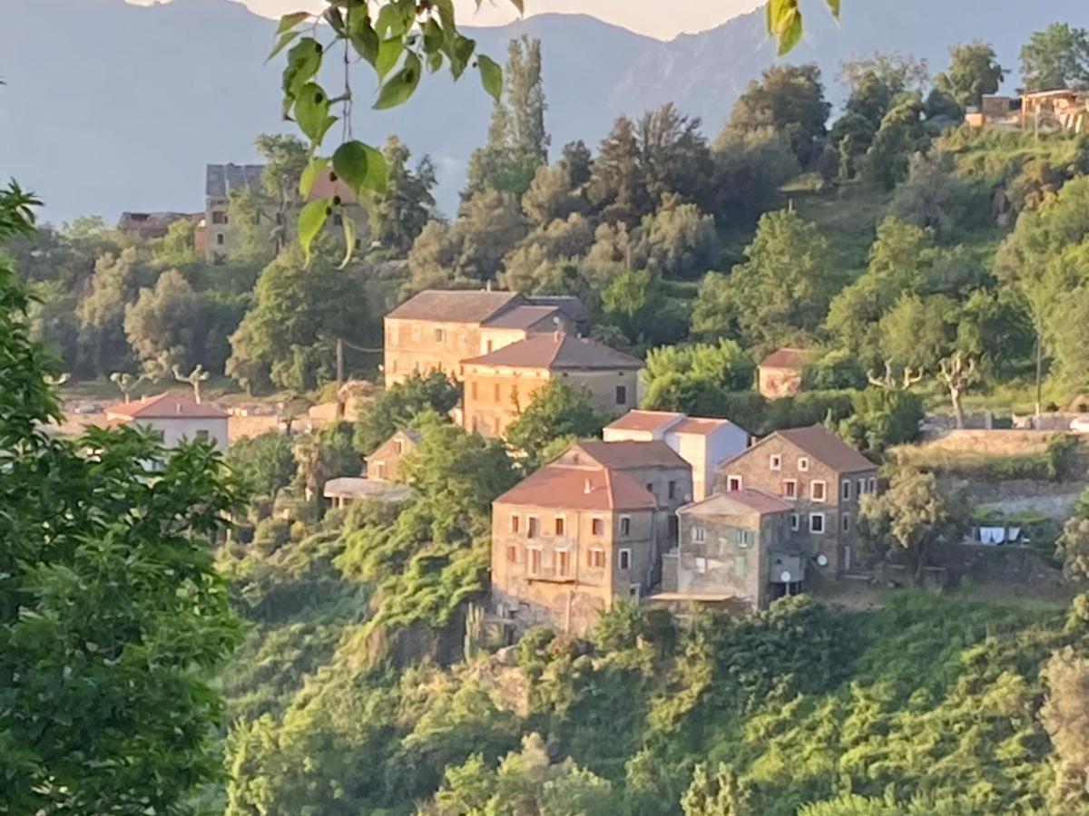 Casa Lili Διαμέρισμα Castello-di-Rostino Εξωτερικό φωτογραφία